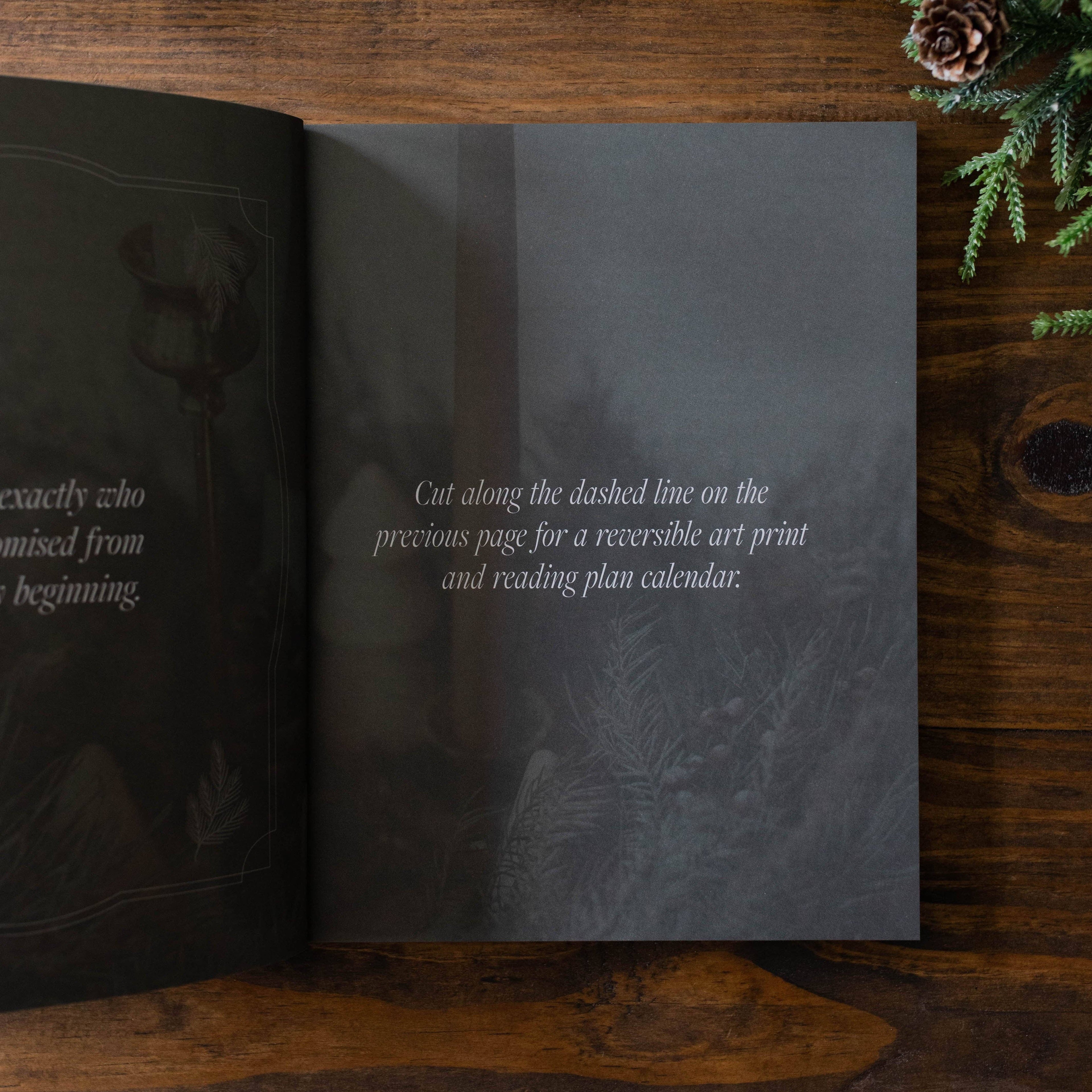 Just as He Promised | Advent Bible Study 2024 The Daily Grace Co