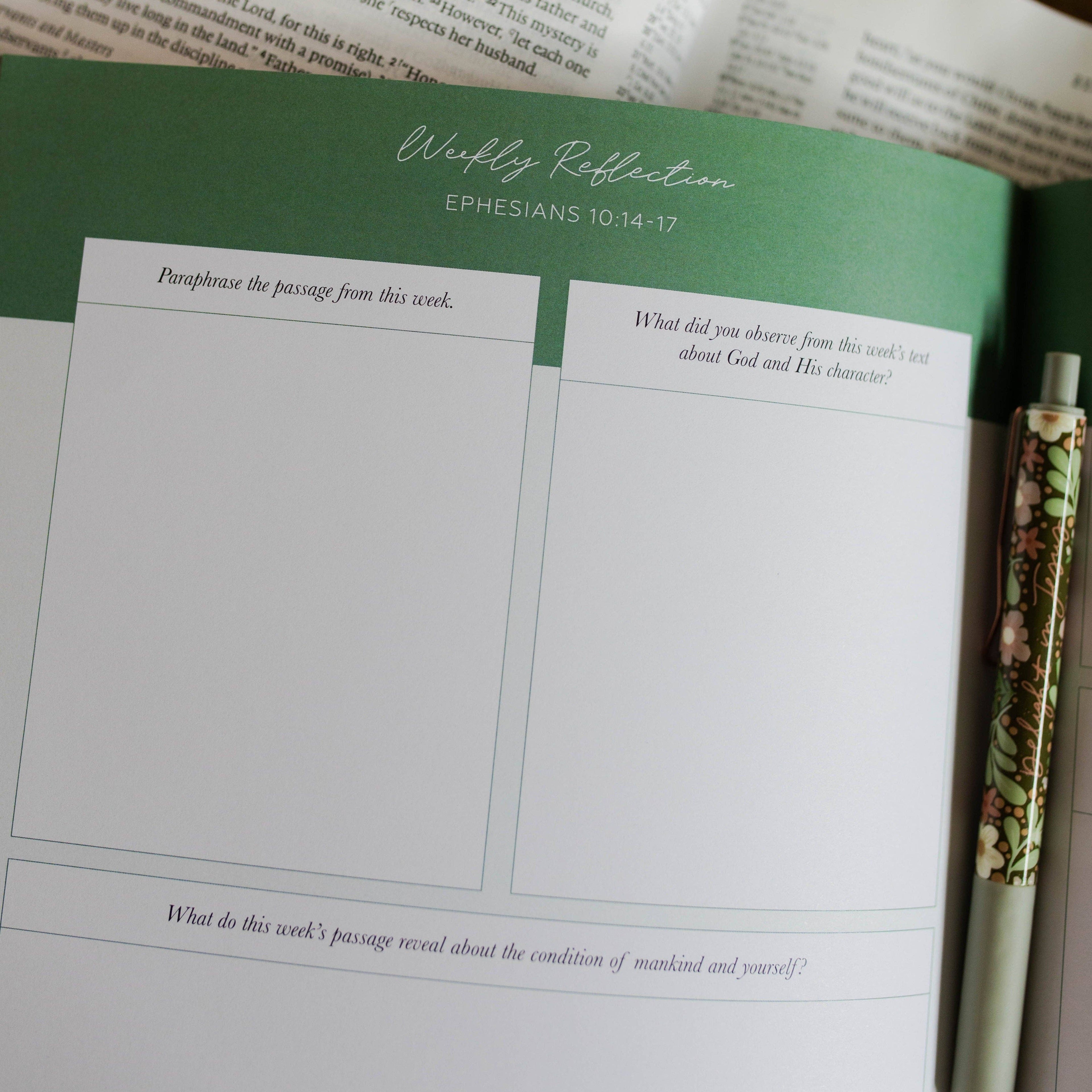 Stand Firm | Armor of God Study The Daily Grace Co