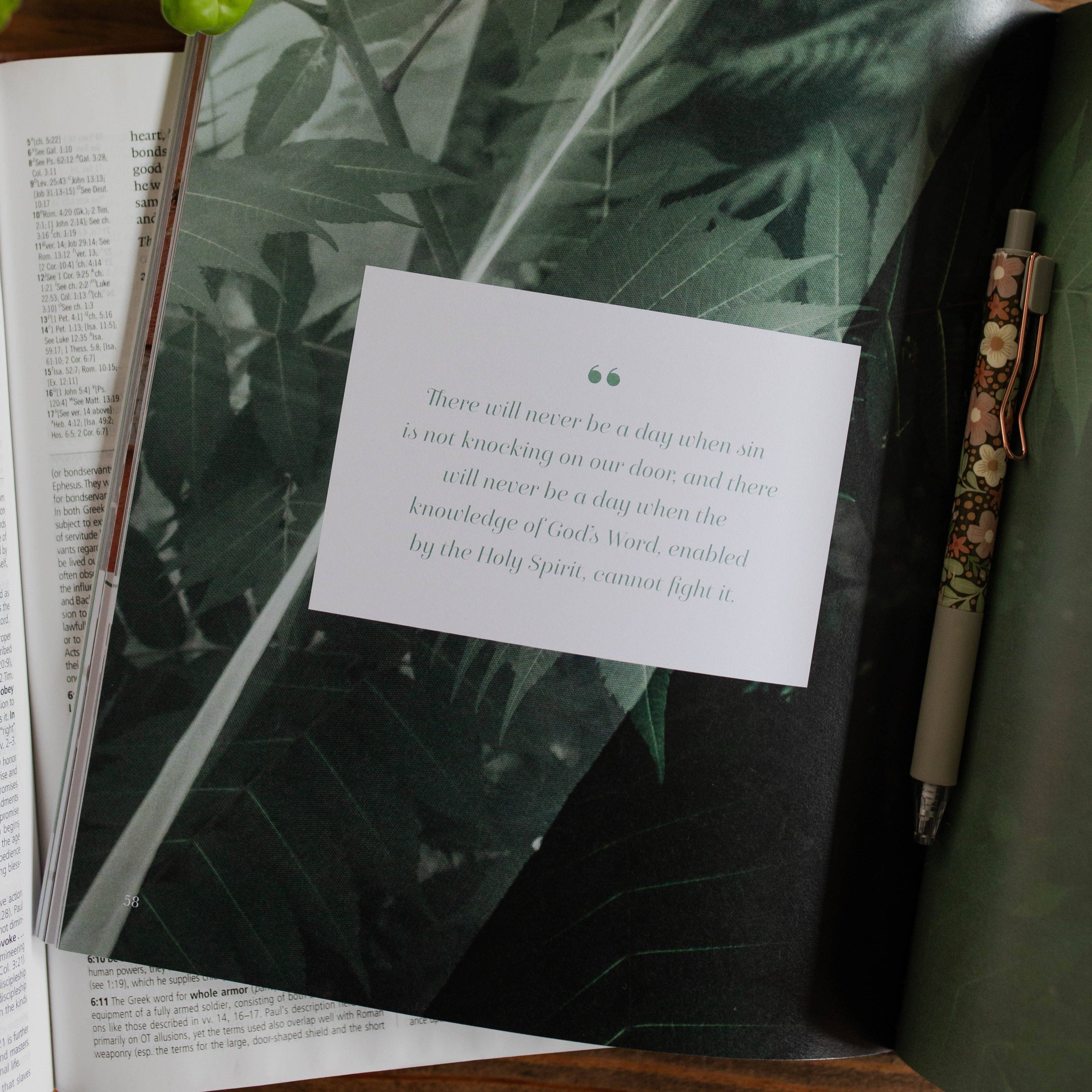 Stand Firm | Armor of God Study The Daily Grace Co