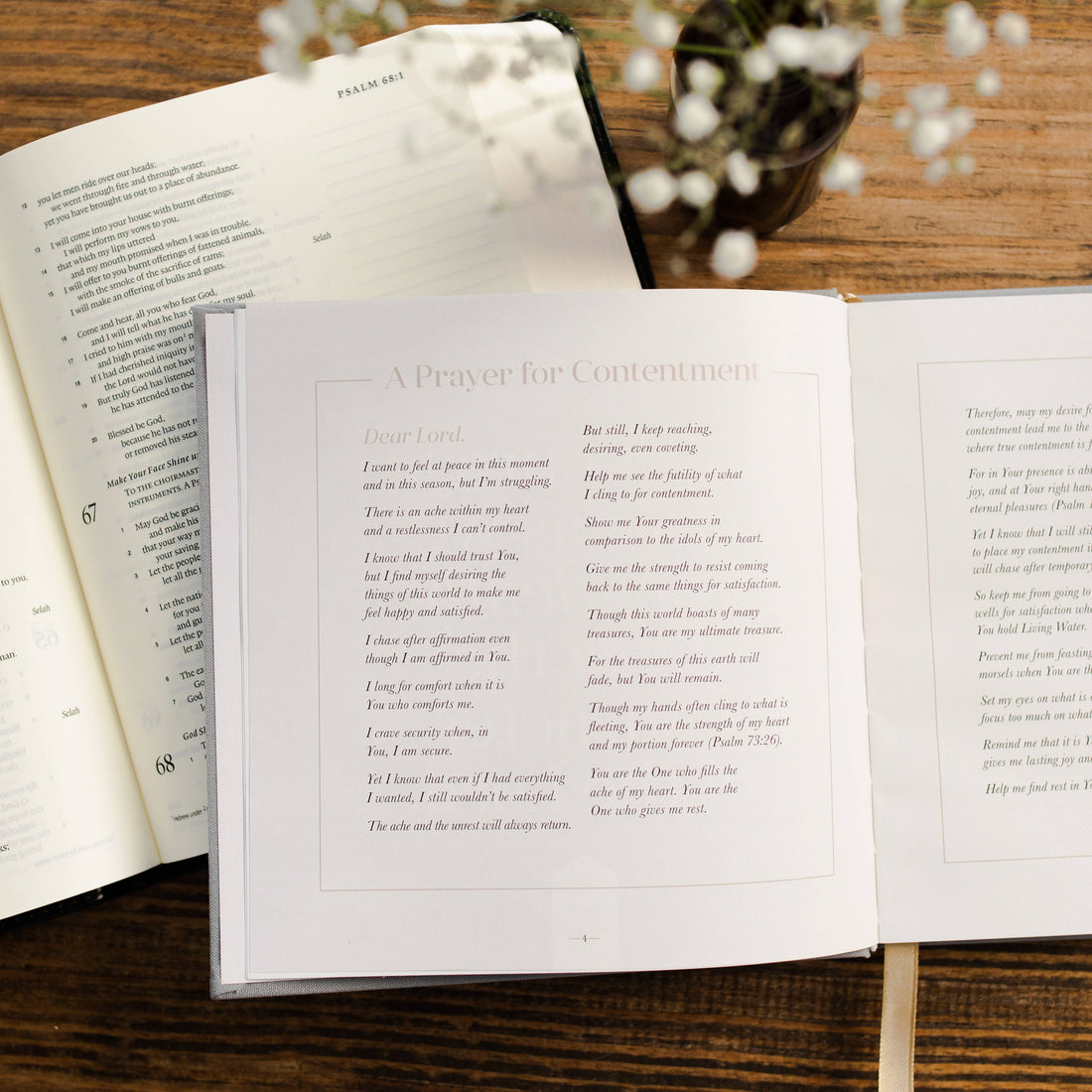 Satisfied | A 60-Day Devotional The Daily Grace Co