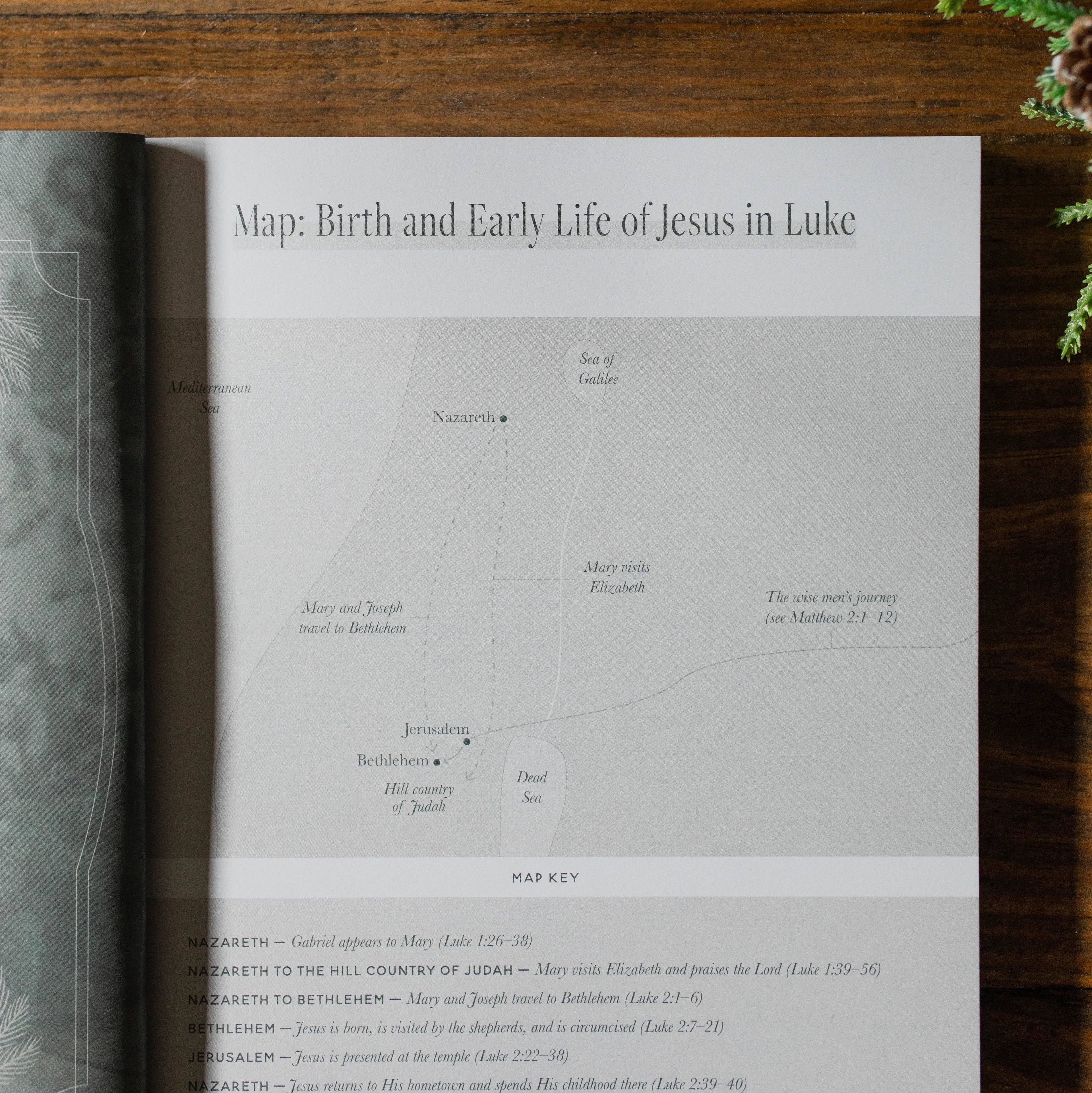 Just as He Promised | Advent Bible Study 2024 The Daily Grace Co