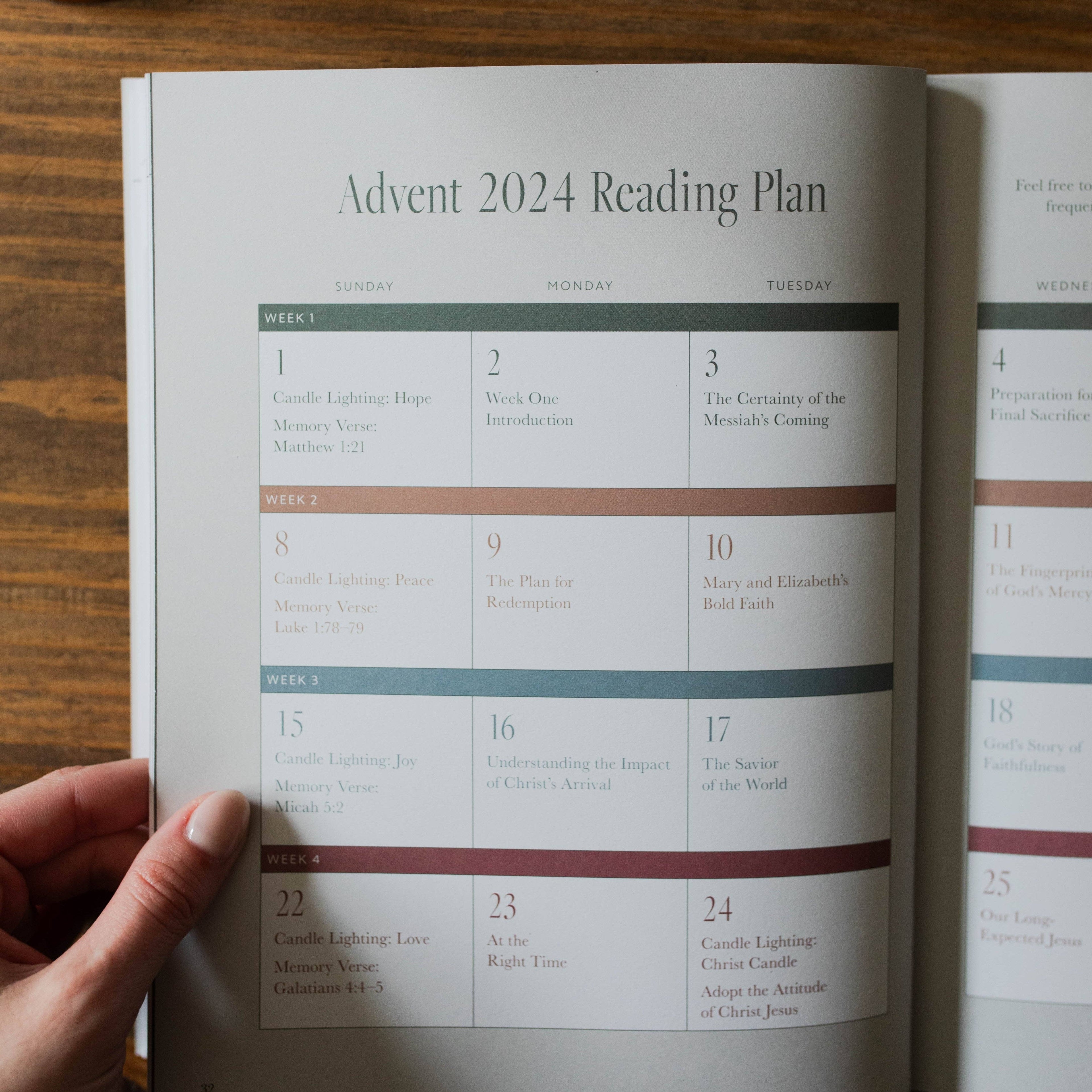 Just as He Promised | Advent Bible Study 2024 The Daily Grace Co