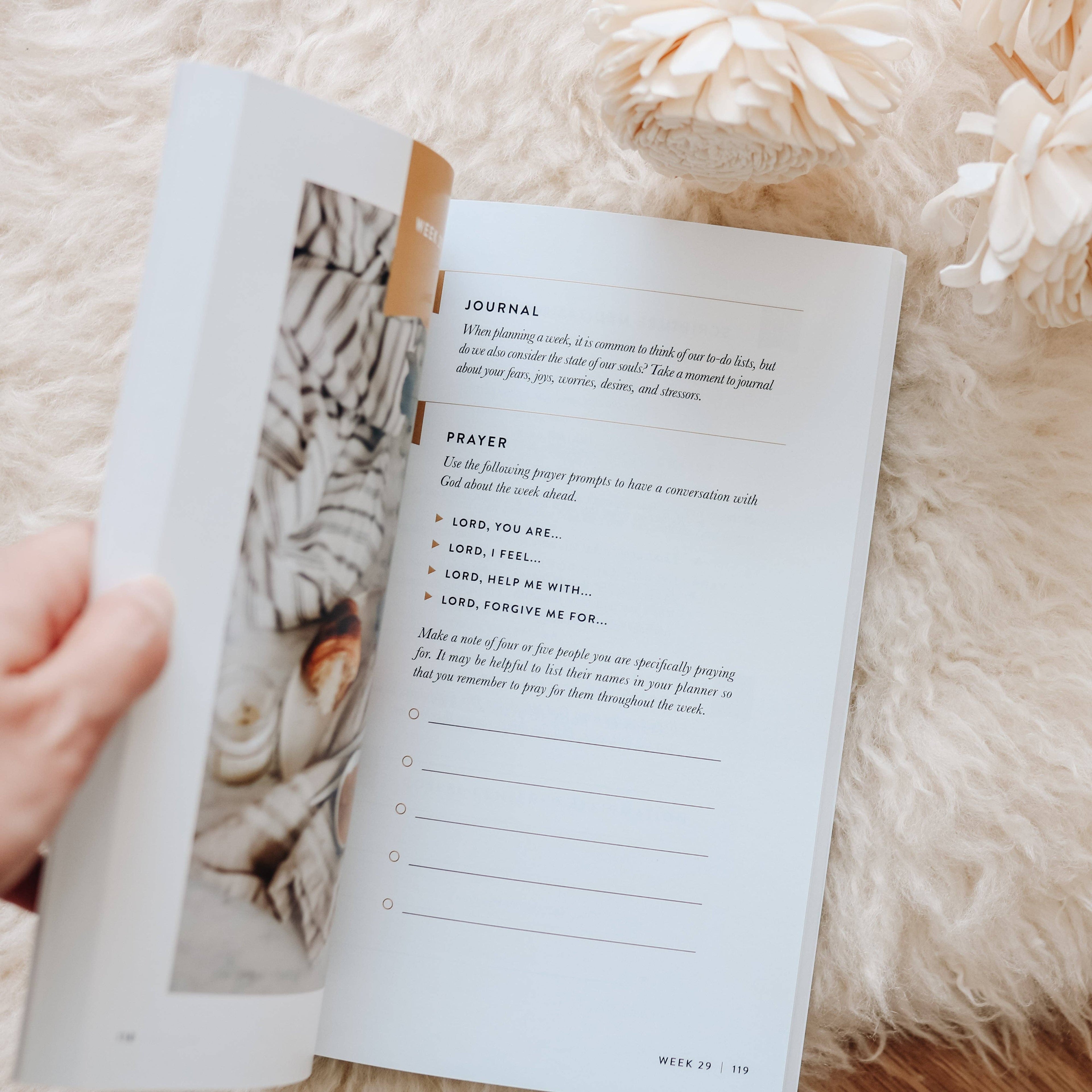 Fix Your Focus - A 52-Week Guide to Help You Put God First The Daily Grace Co
