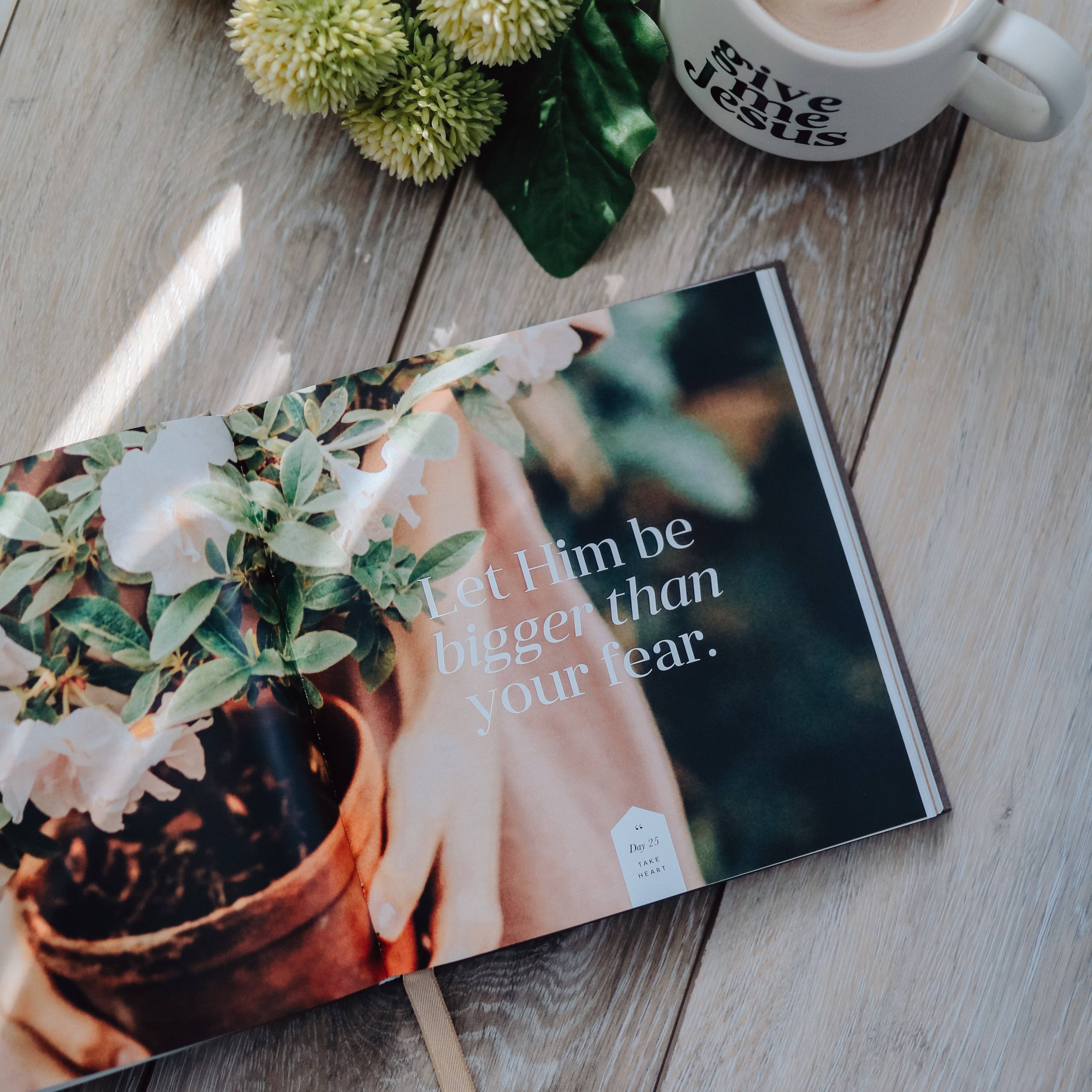 Take Heart | A 90-Day Devotional The Daily Grace Co
