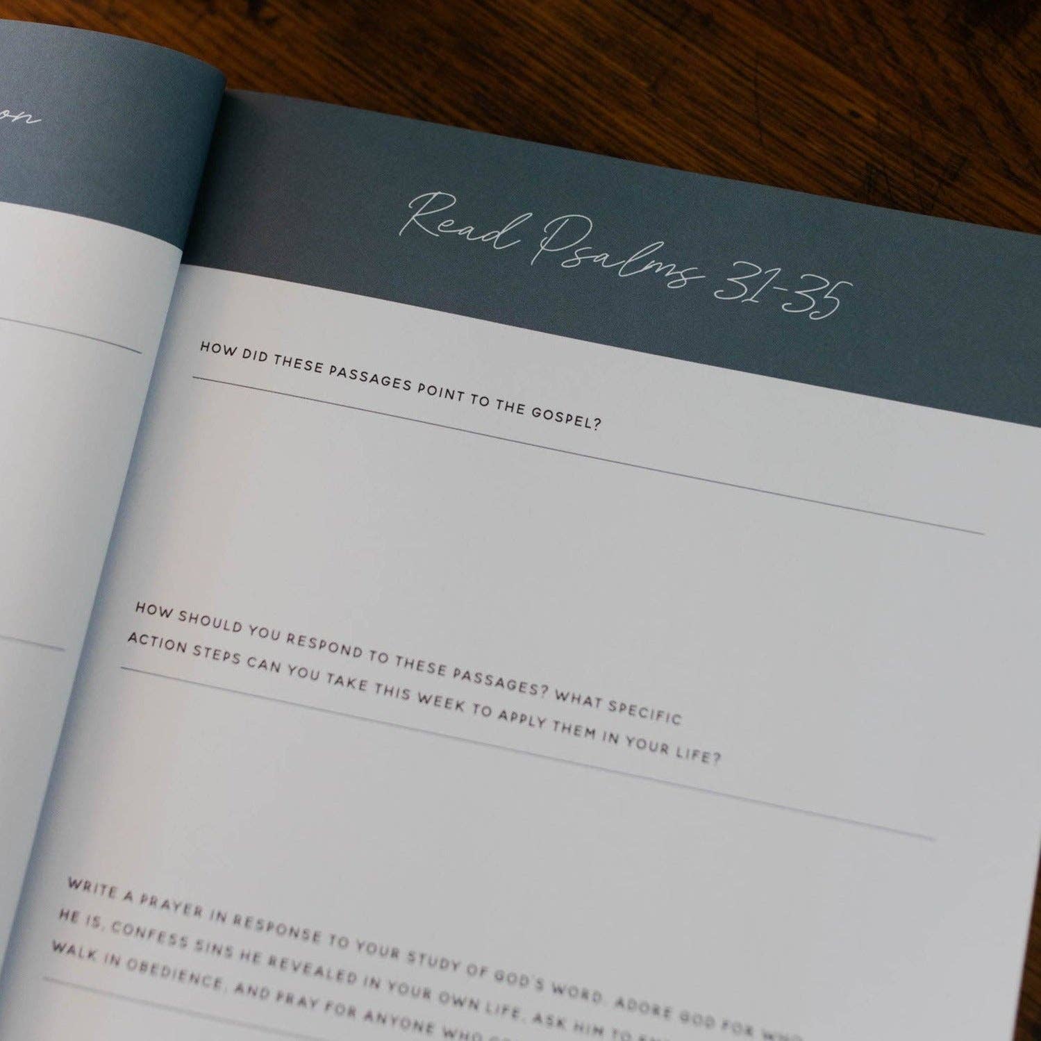 Wait | Psalms 31-60 The Daily Grace Co