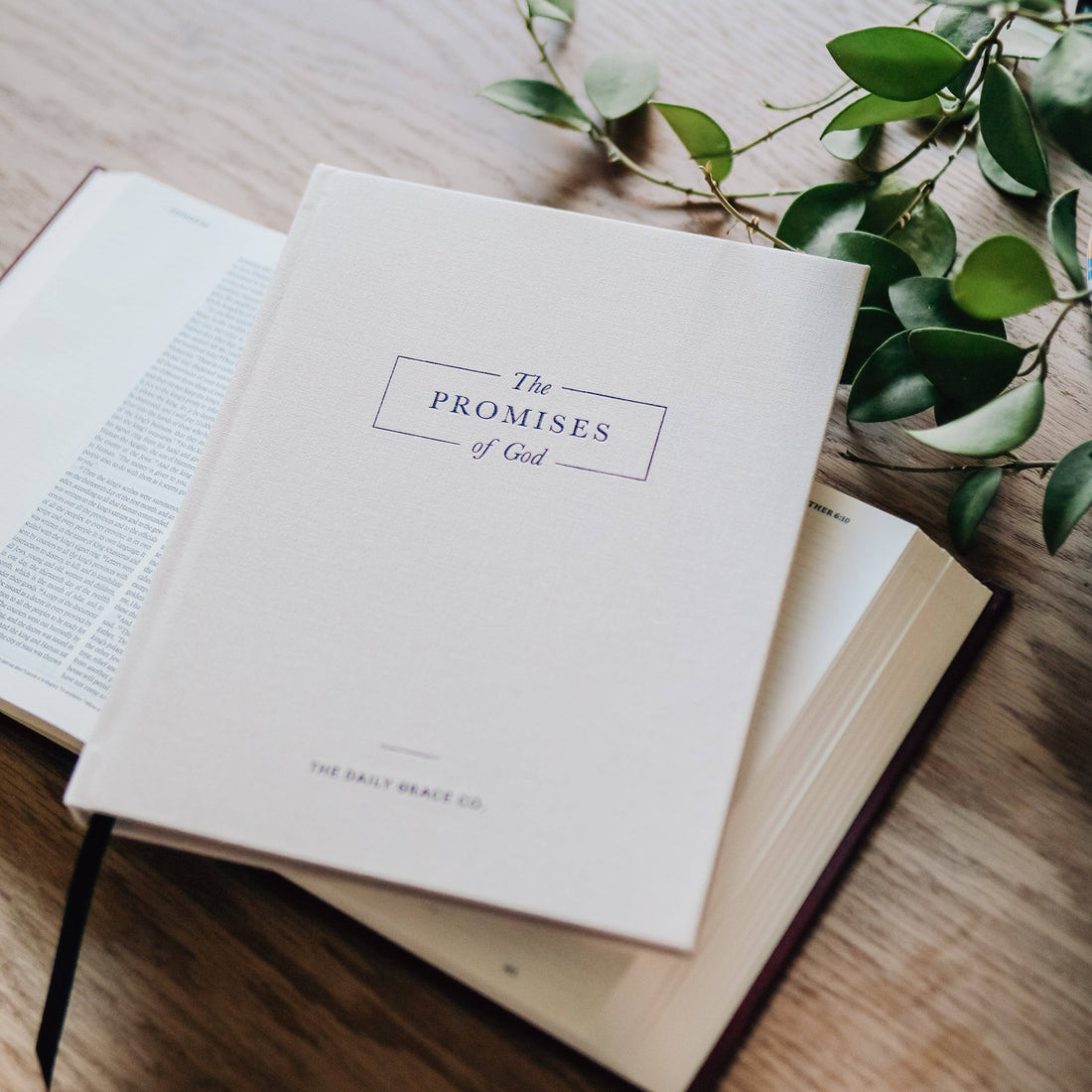 The Promises of God | Coffee Table Book The Daily Grace Co