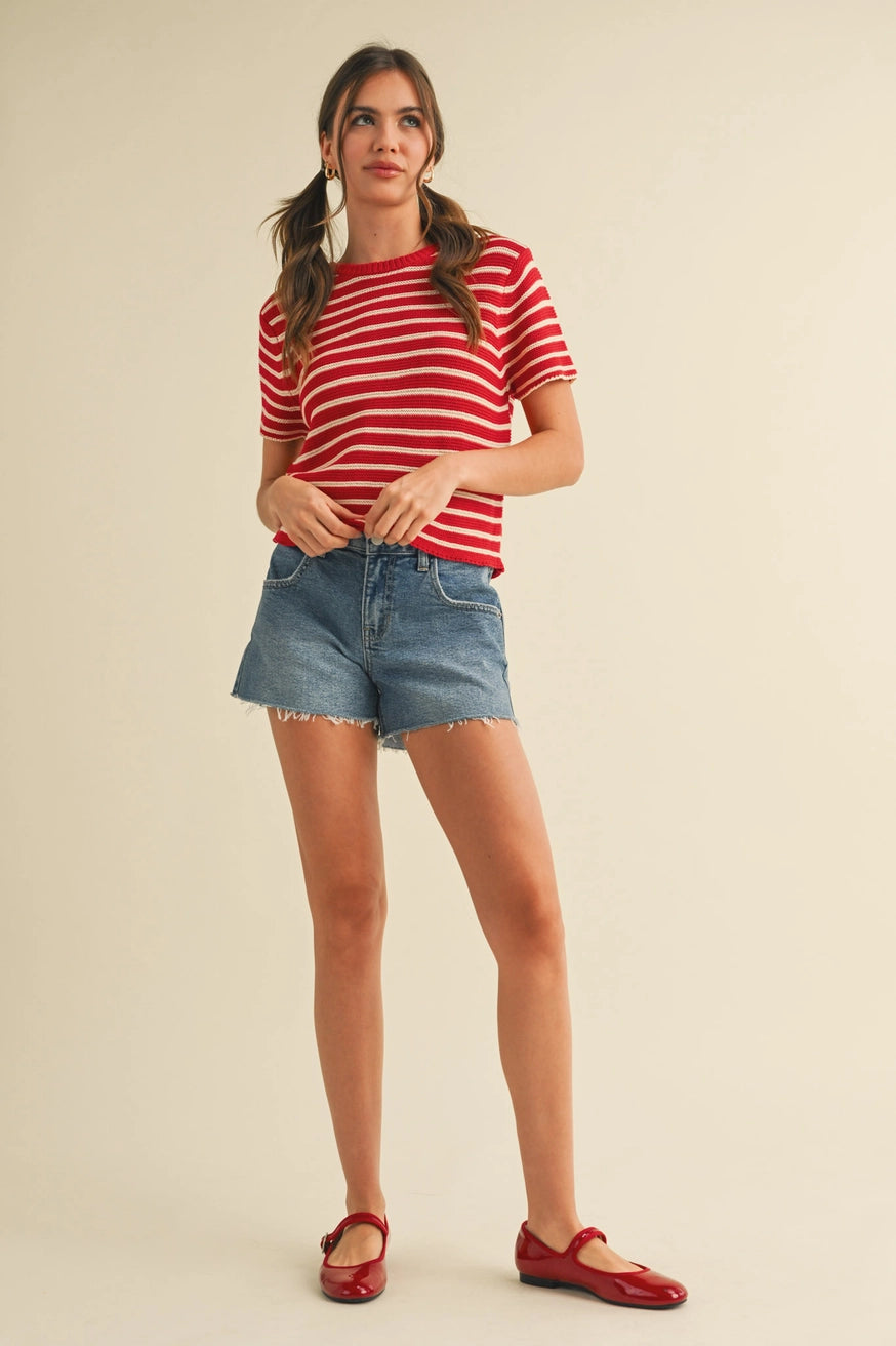 Berry Stripe Knit Top