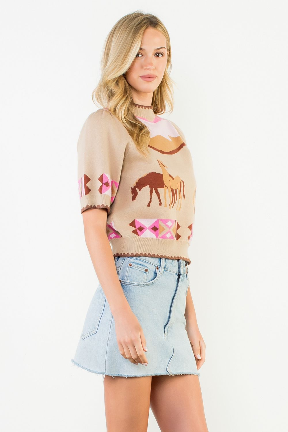 Desert Trails Sweater Top THML