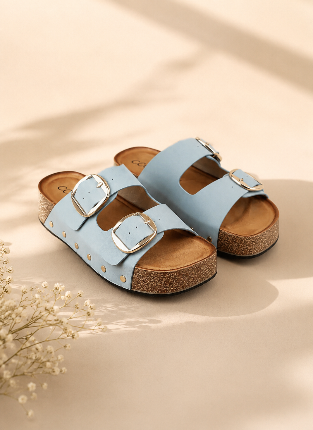The Sadie Slide CCOCCI