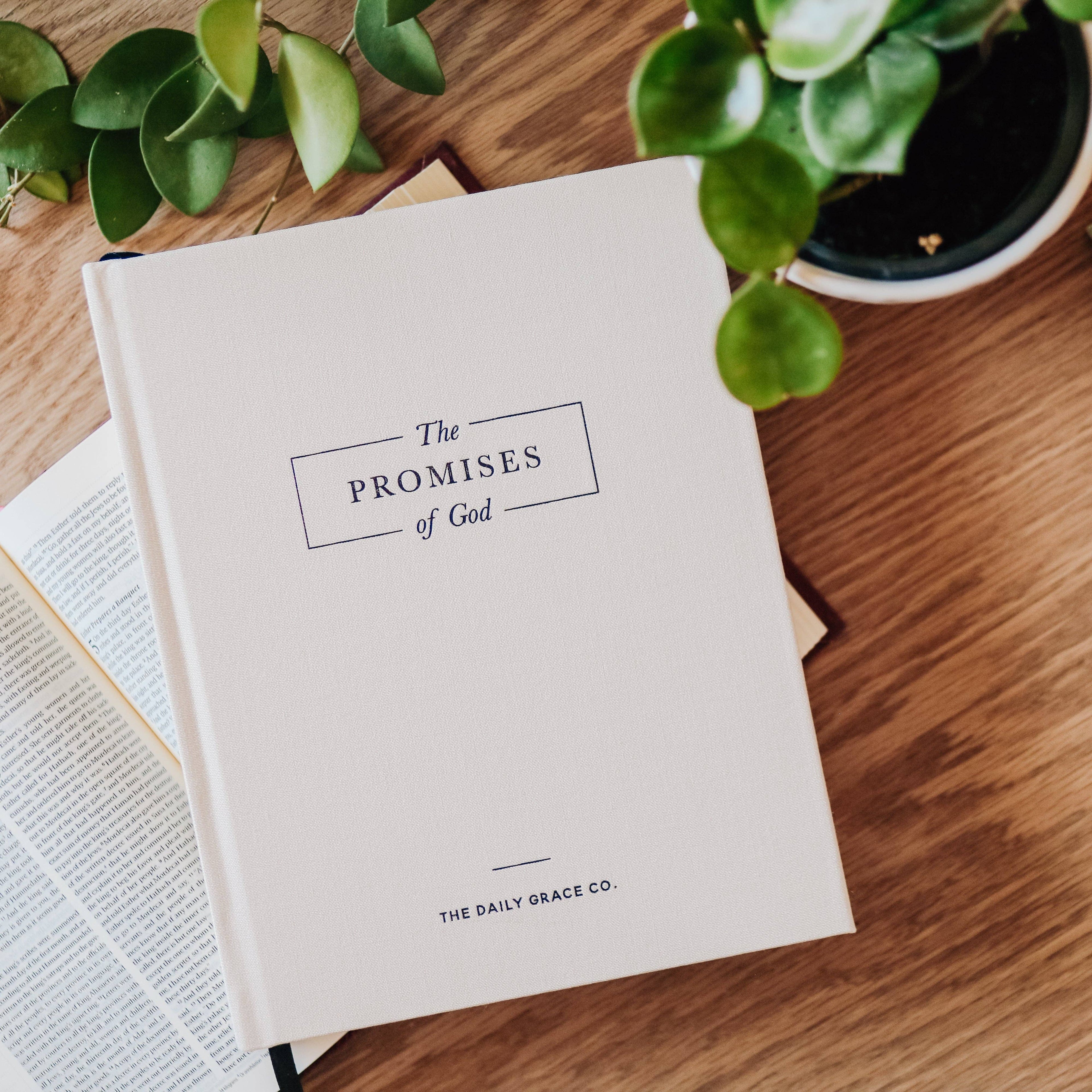 The Promises of God | Coffee Table Book The Daily Grace Co