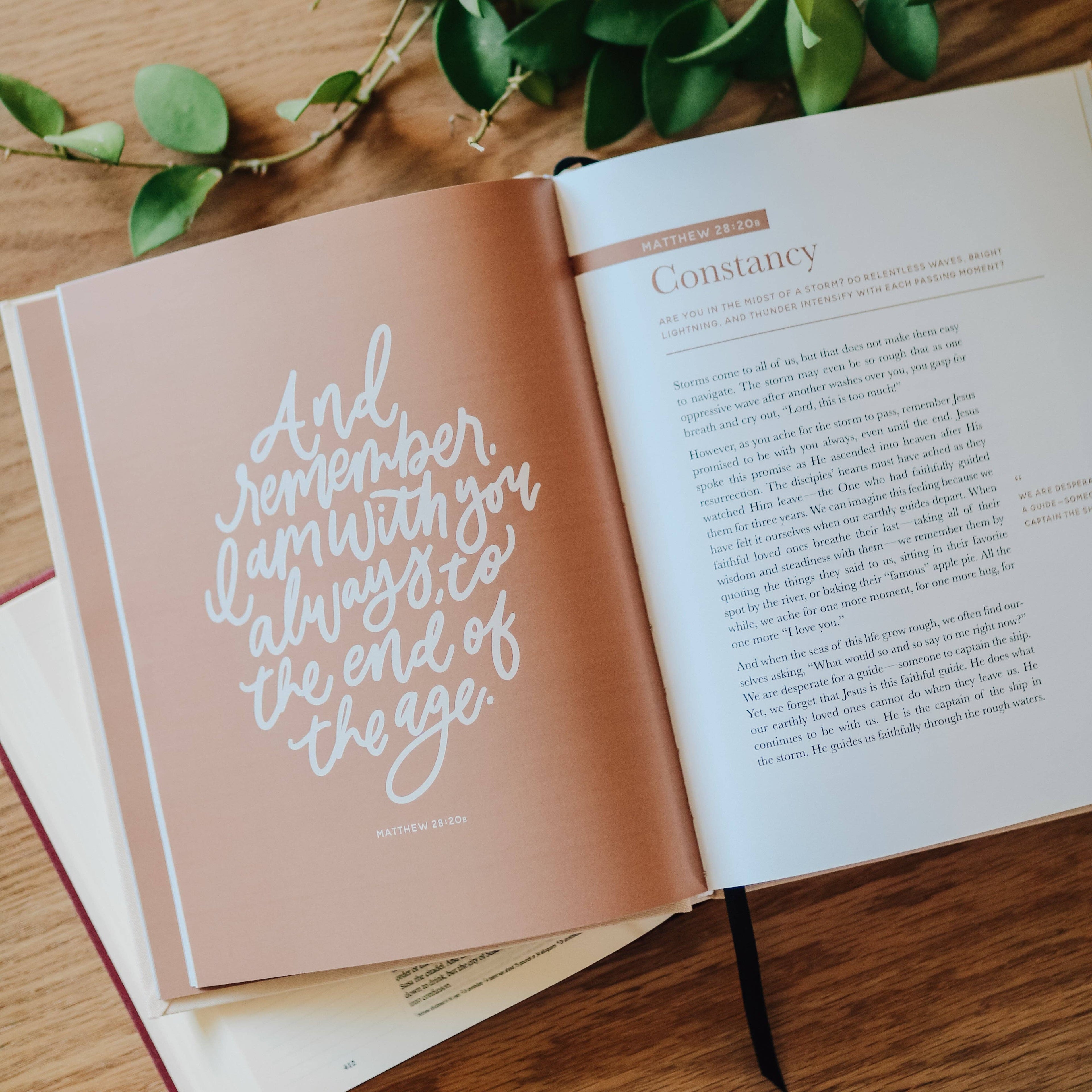 The Promises of God | Coffee Table Book The Daily Grace Co