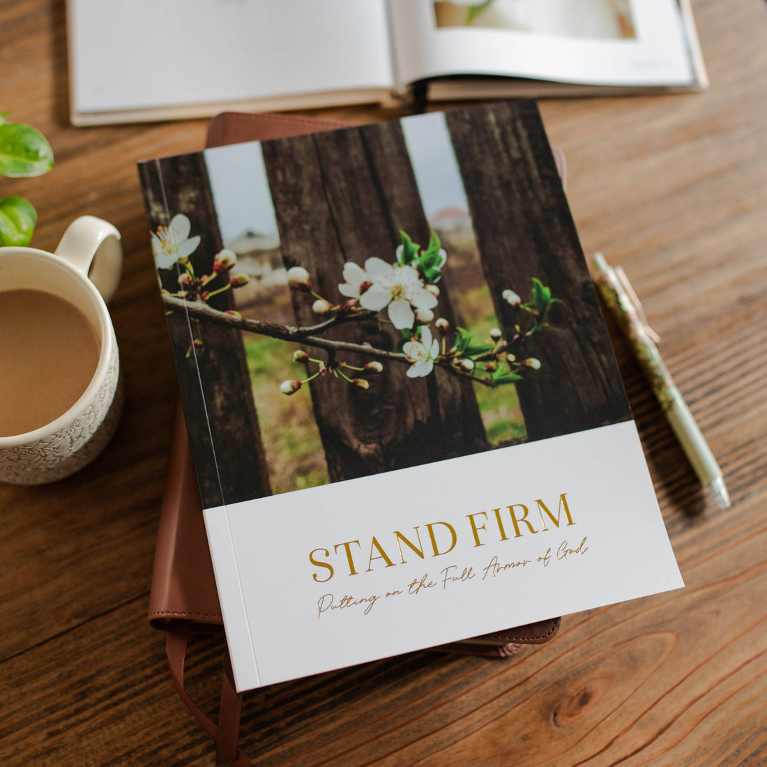 Stand Firm | Armor of God Study The Daily Grace Co