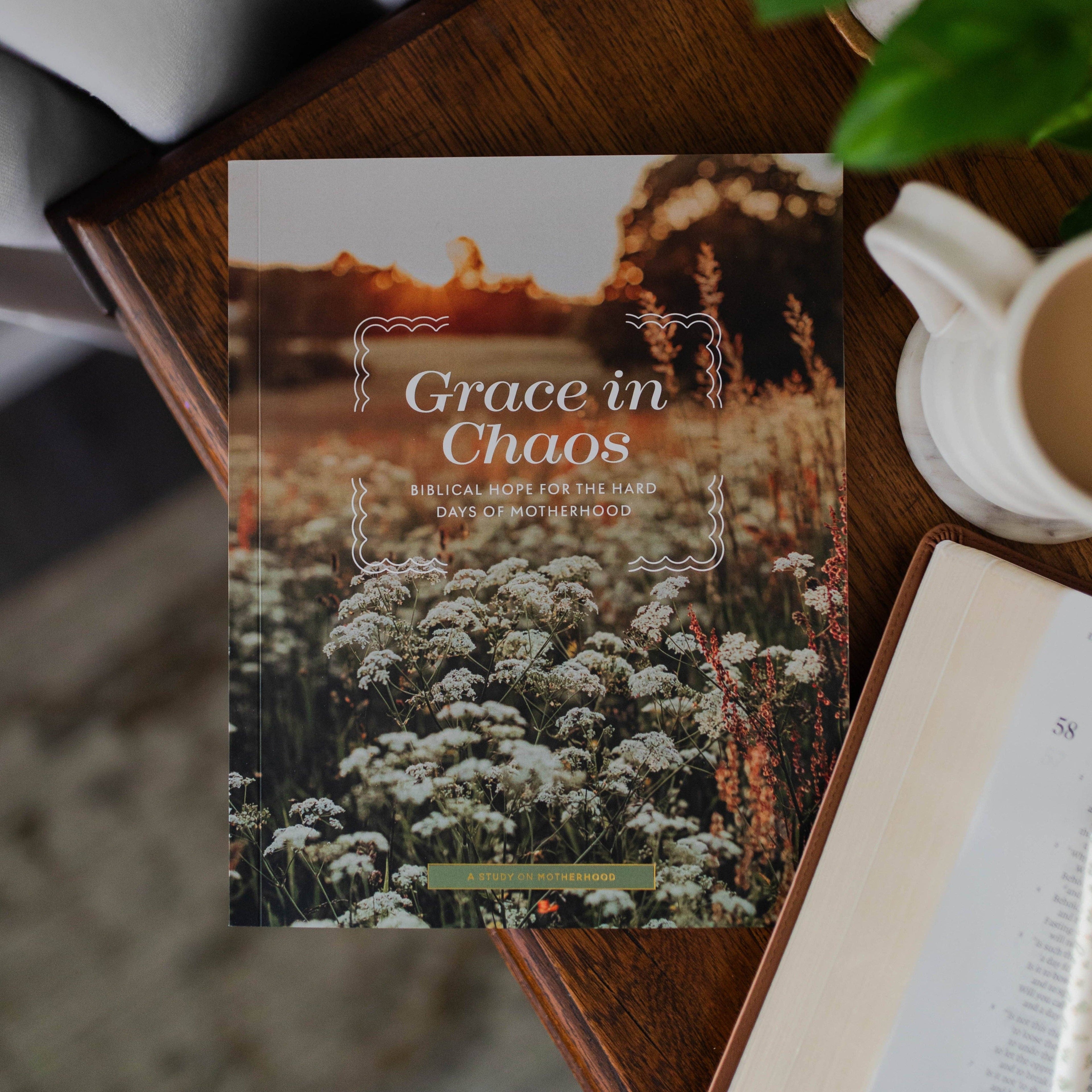 Grace in Chaos Bible Study The Daily Grace Co