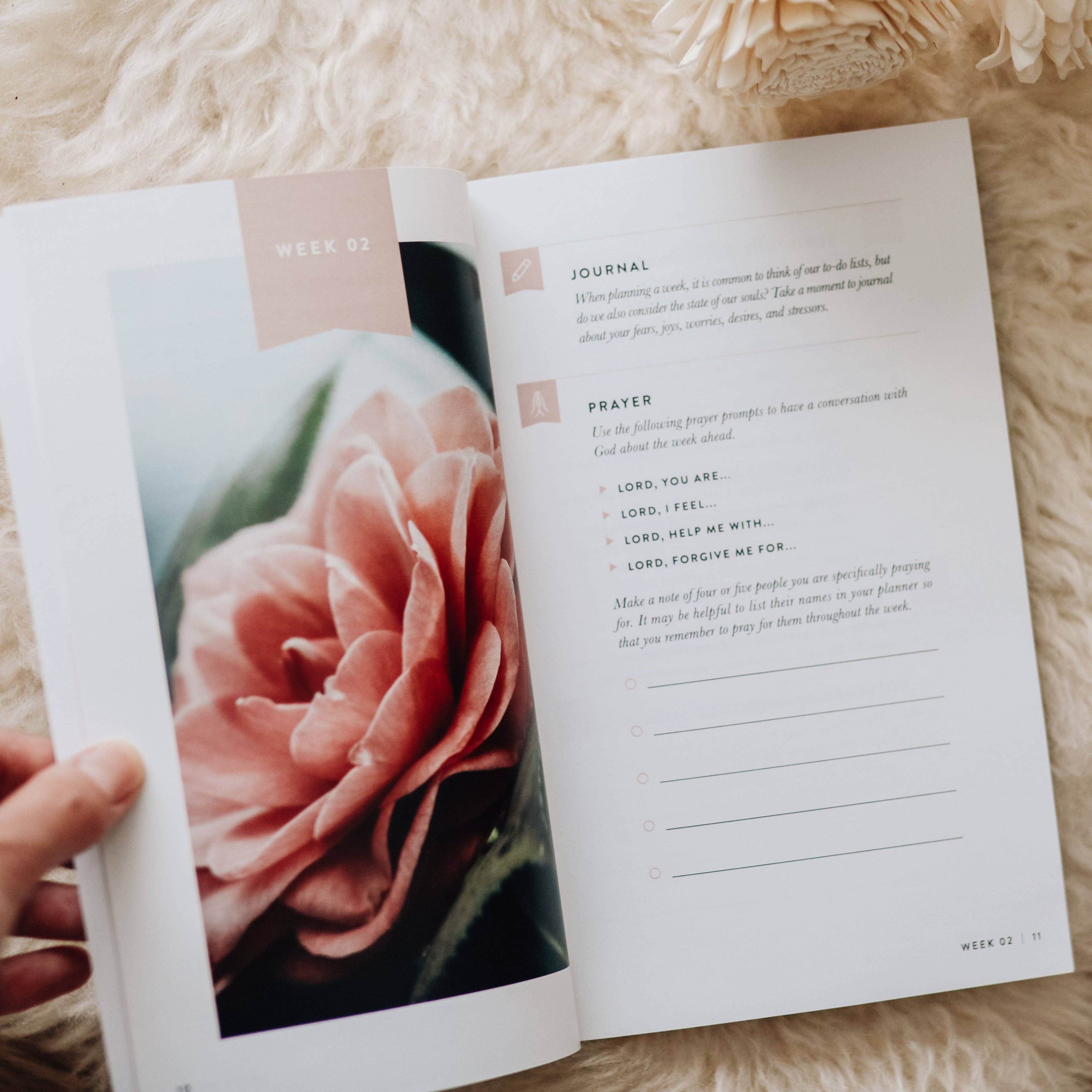Fix Your Focus - A 52-Week Guide to Help You Put God First The Daily Grace Co