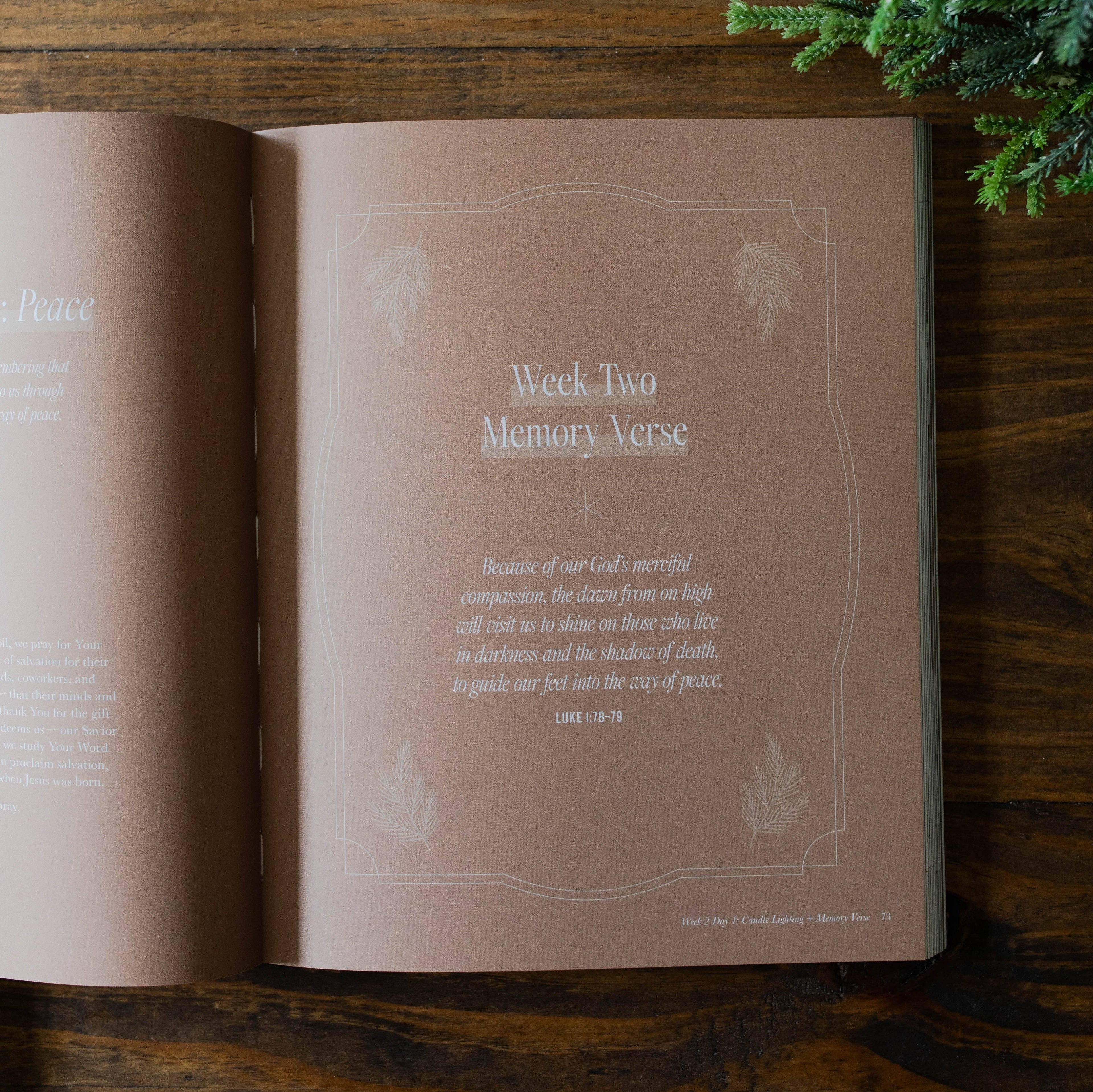 Just as He Promised | Advent Bible Study 2024 The Daily Grace Co