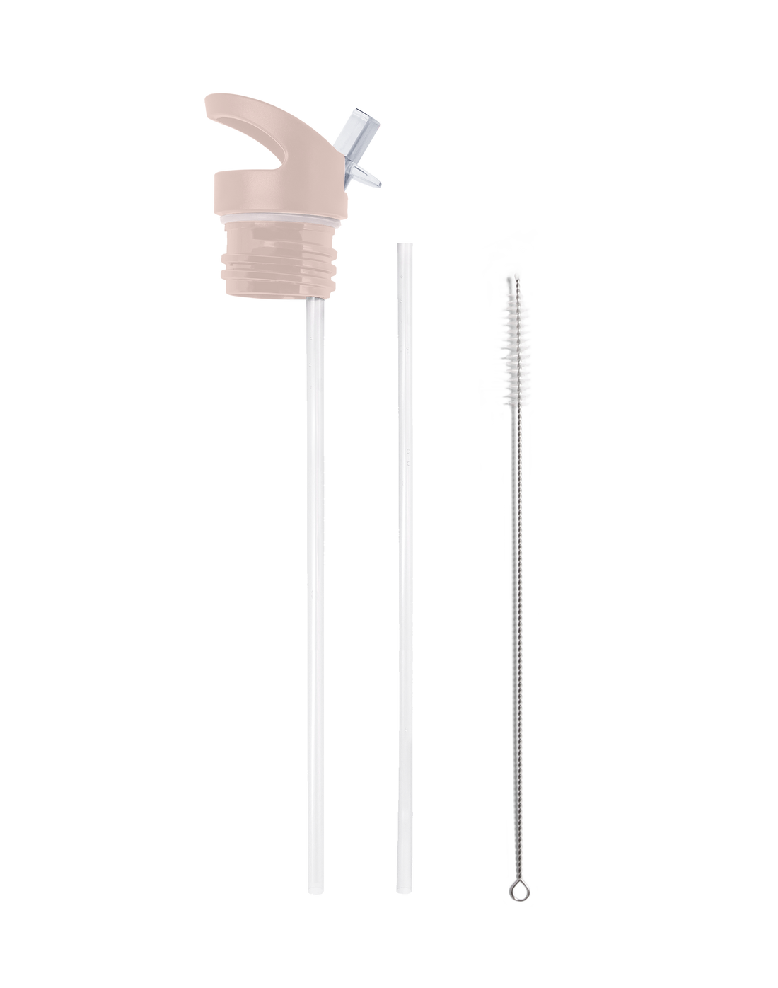 Botanic Birds Stainless Steel Water Bottle My Bougie Bottle