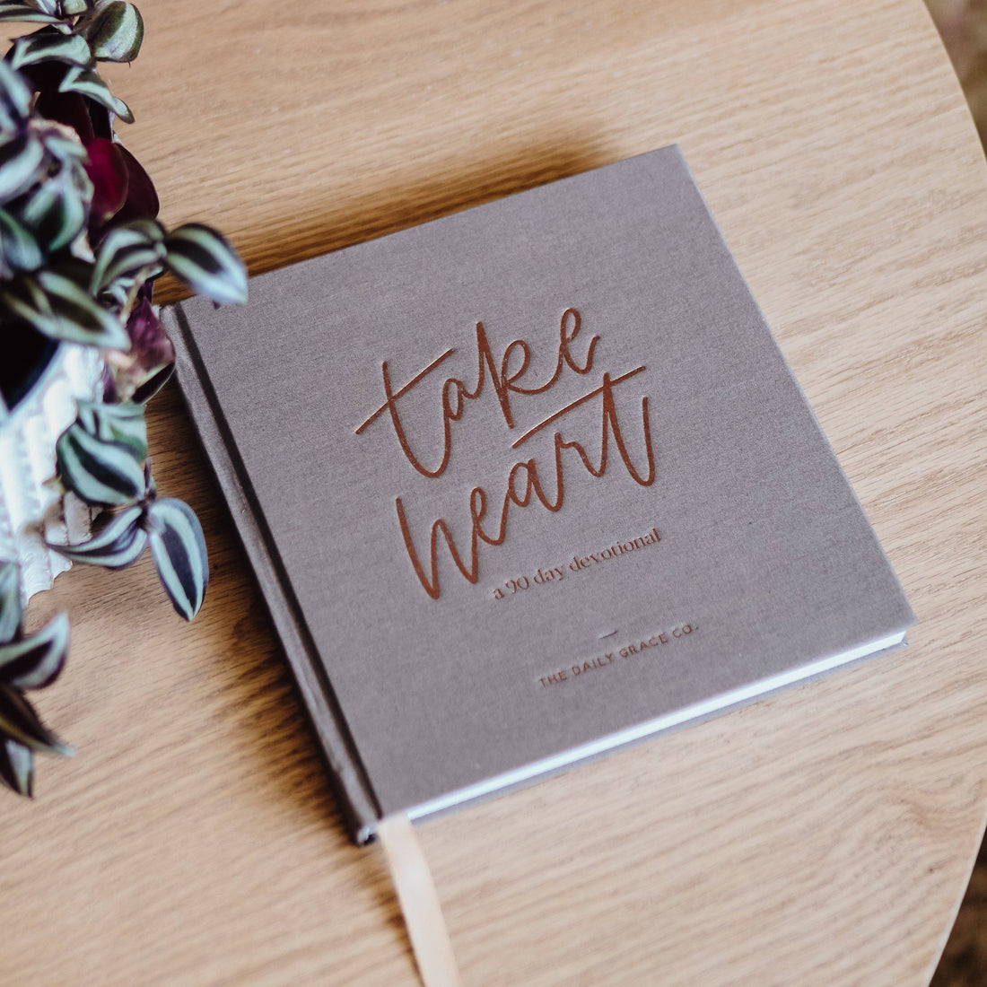Take Heart | A 90-Day Devotional The Daily Grace Co