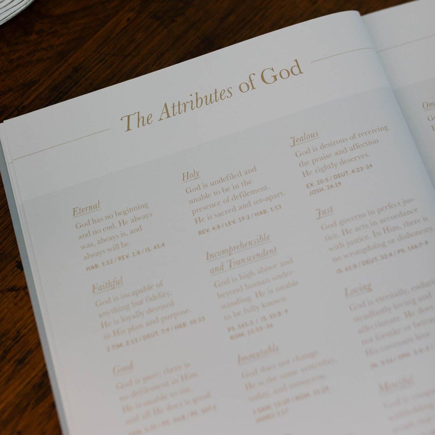 Wait | Psalms 31-60 The Daily Grace Co