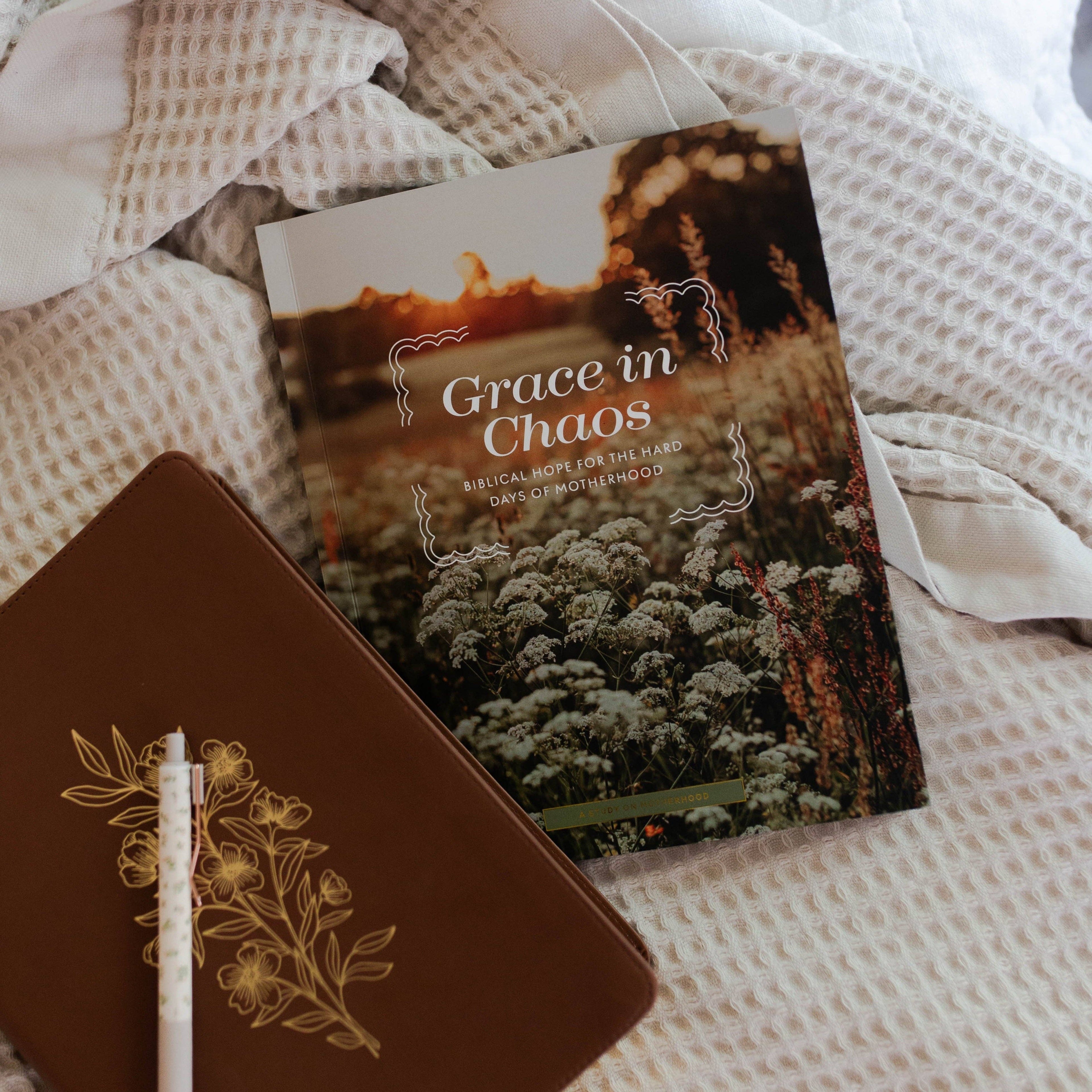 Grace in Chaos Bible Study The Daily Grace Co