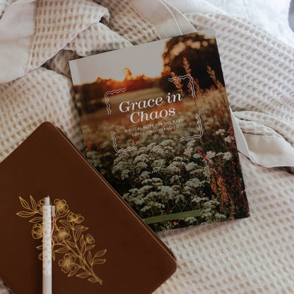 Grace in Chaos Bible Study The Daily Grace Co
