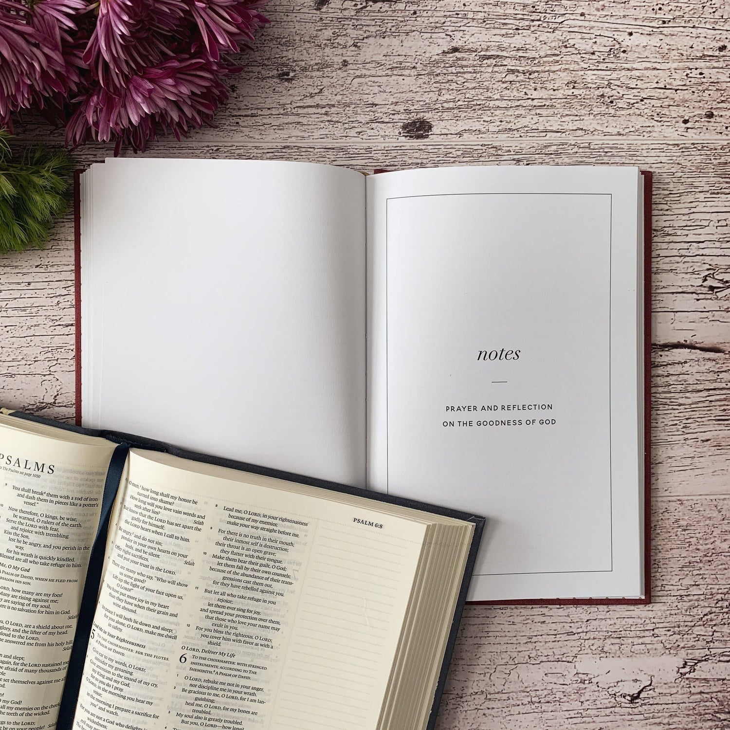 Scripture for Anxiety Journal- 40 Day Journal The Daily Grace Co