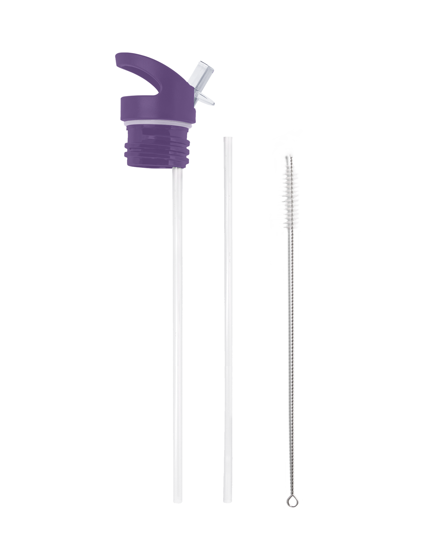 MORRISET foliage 25 oz Insulated Water Bottle My Bougie Bottle