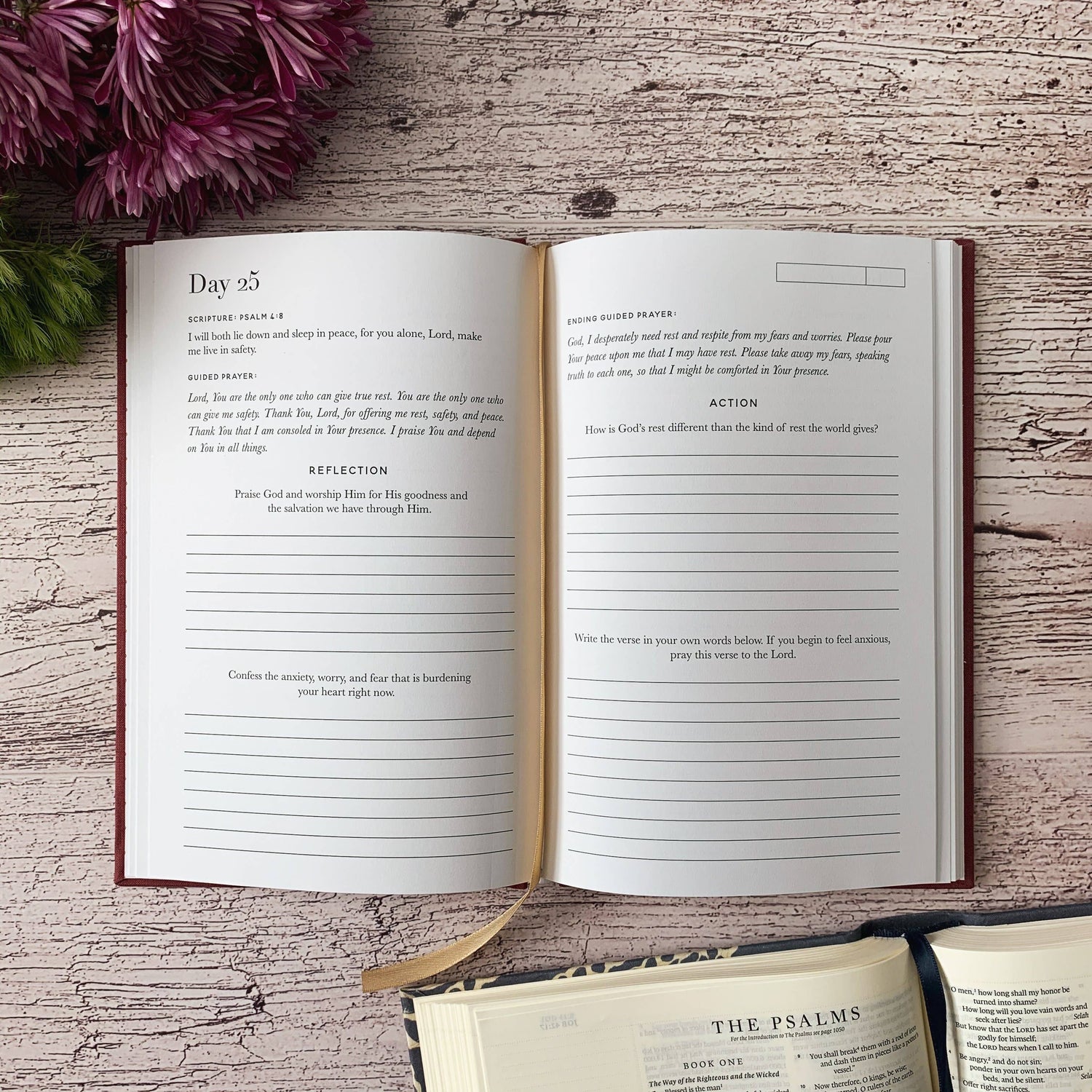 Scripture for Anxiety Journal- 40 Day Journal The Daily Grace Co