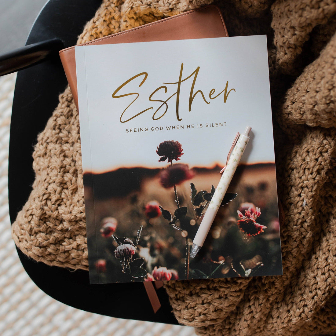 Esther | Seeing God When He Is Silent The Daily Grace Co