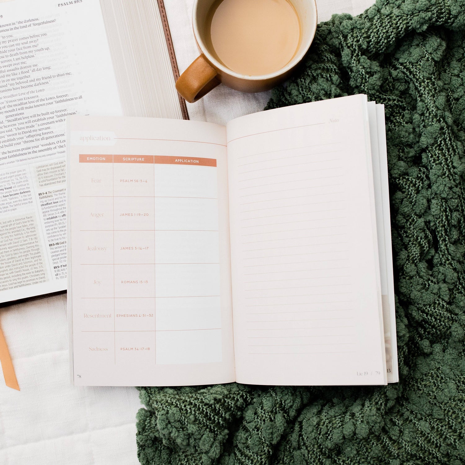 Thirty Truths for Common Lies Study (for Women) The Daily Grace Co