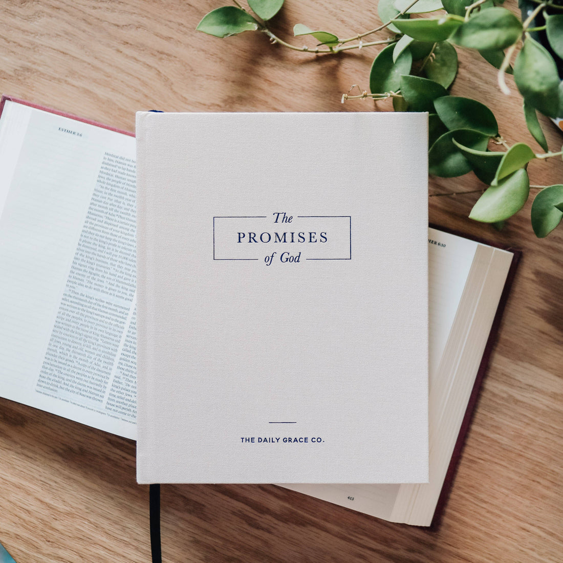 The Promises of God, Coffee Table Book