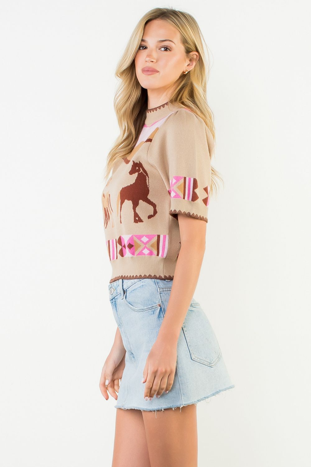 Desert Trails Sweater Top THML