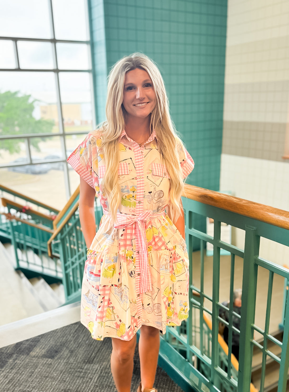 Sweet Picnic Dress Entro