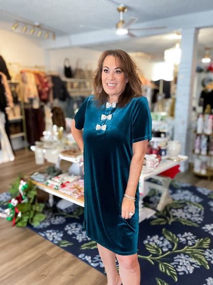 Jewel Ribbon Velvet Dress Vine &amp; Love