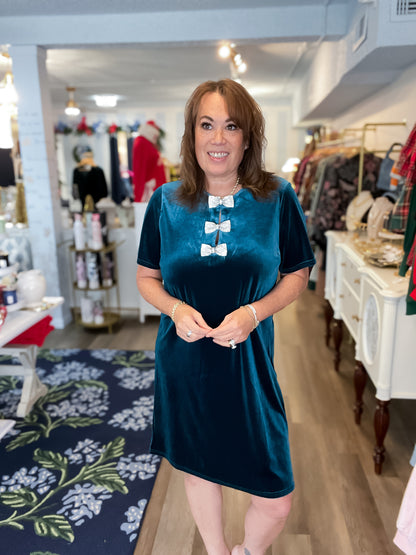 Jewel Ribbon Velvet Dress Vine &amp; Love