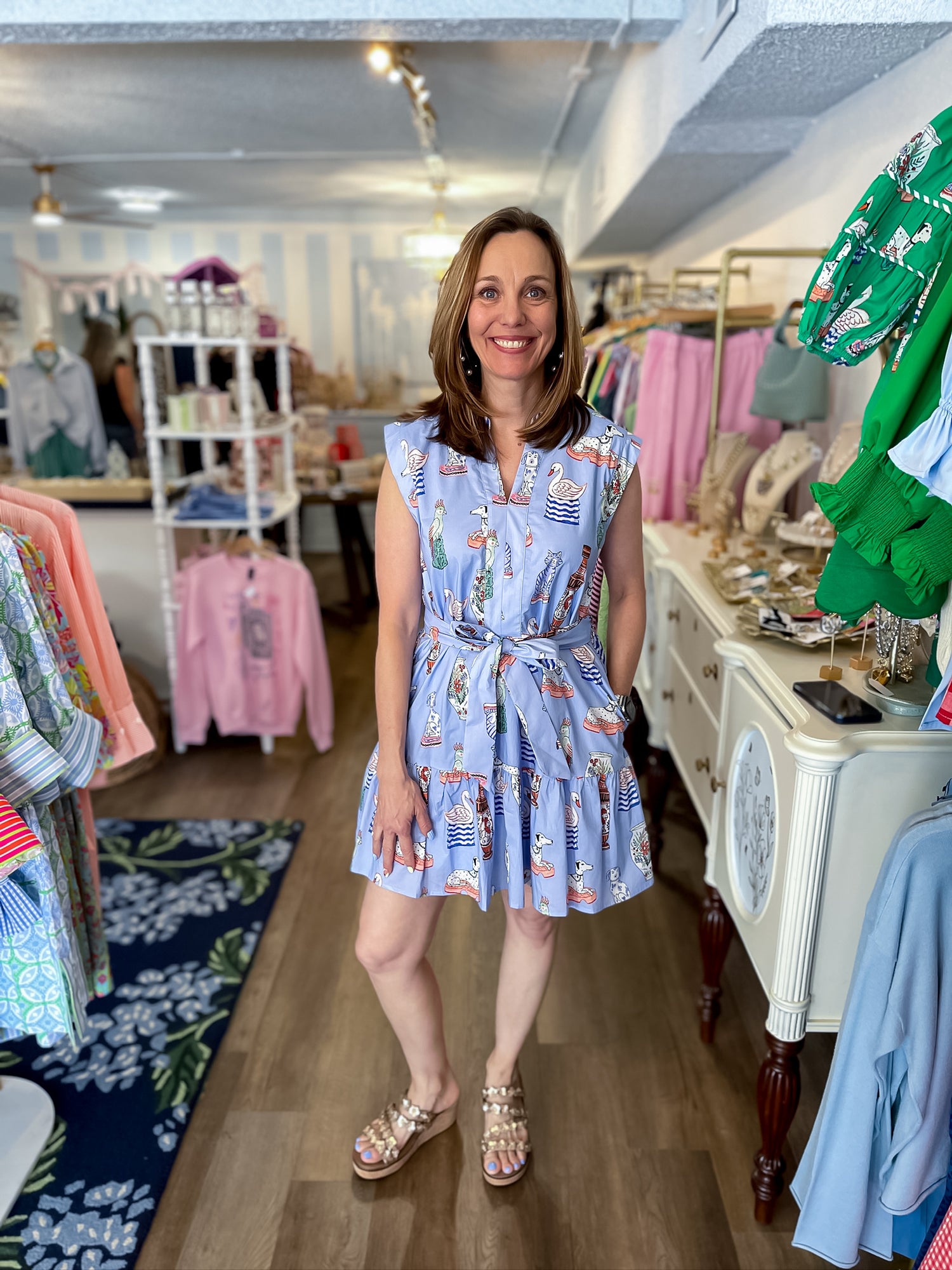 Blue Storybook Mini Dress Entro