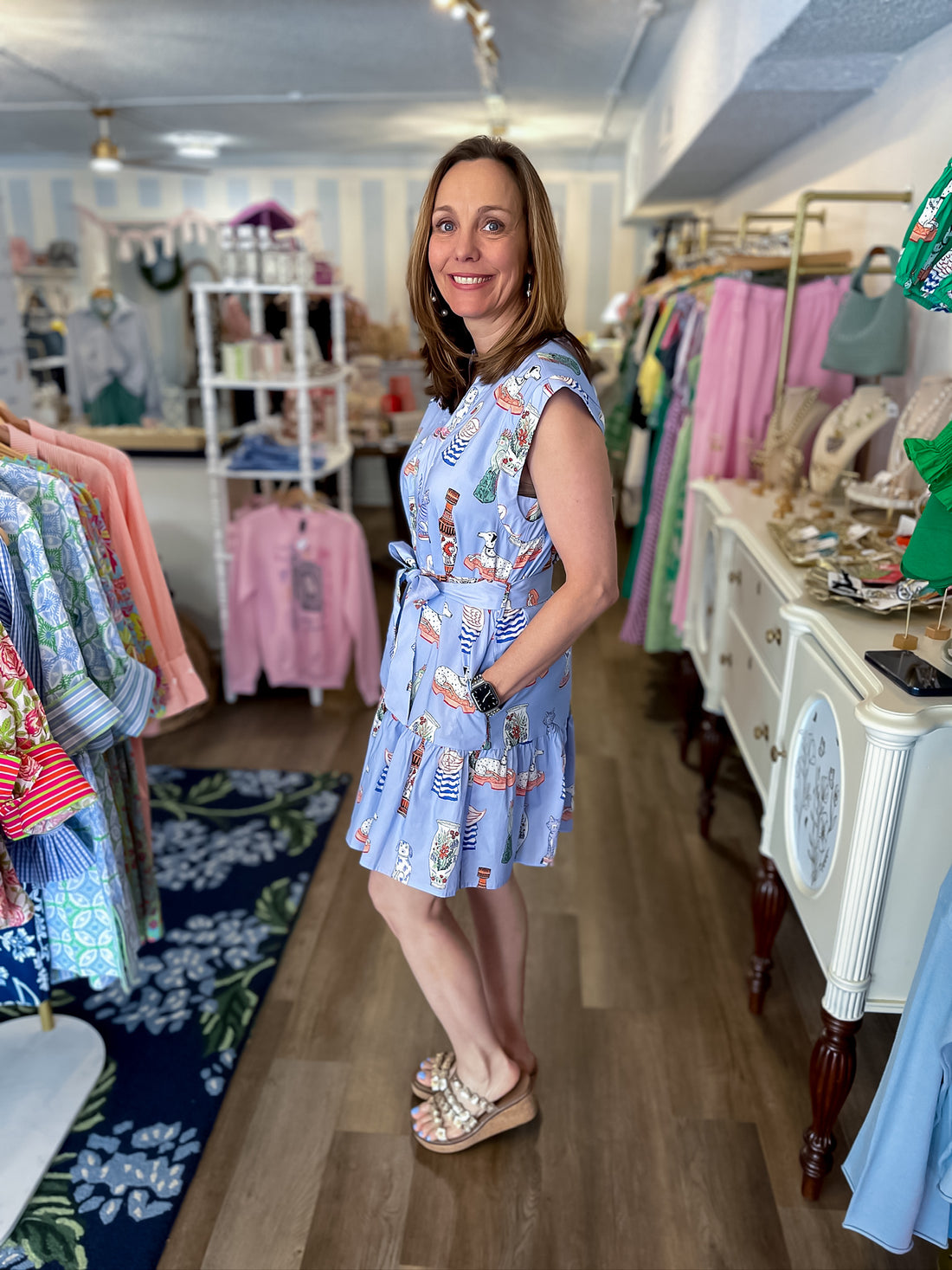 Blue Storybook Mini Dress Entro