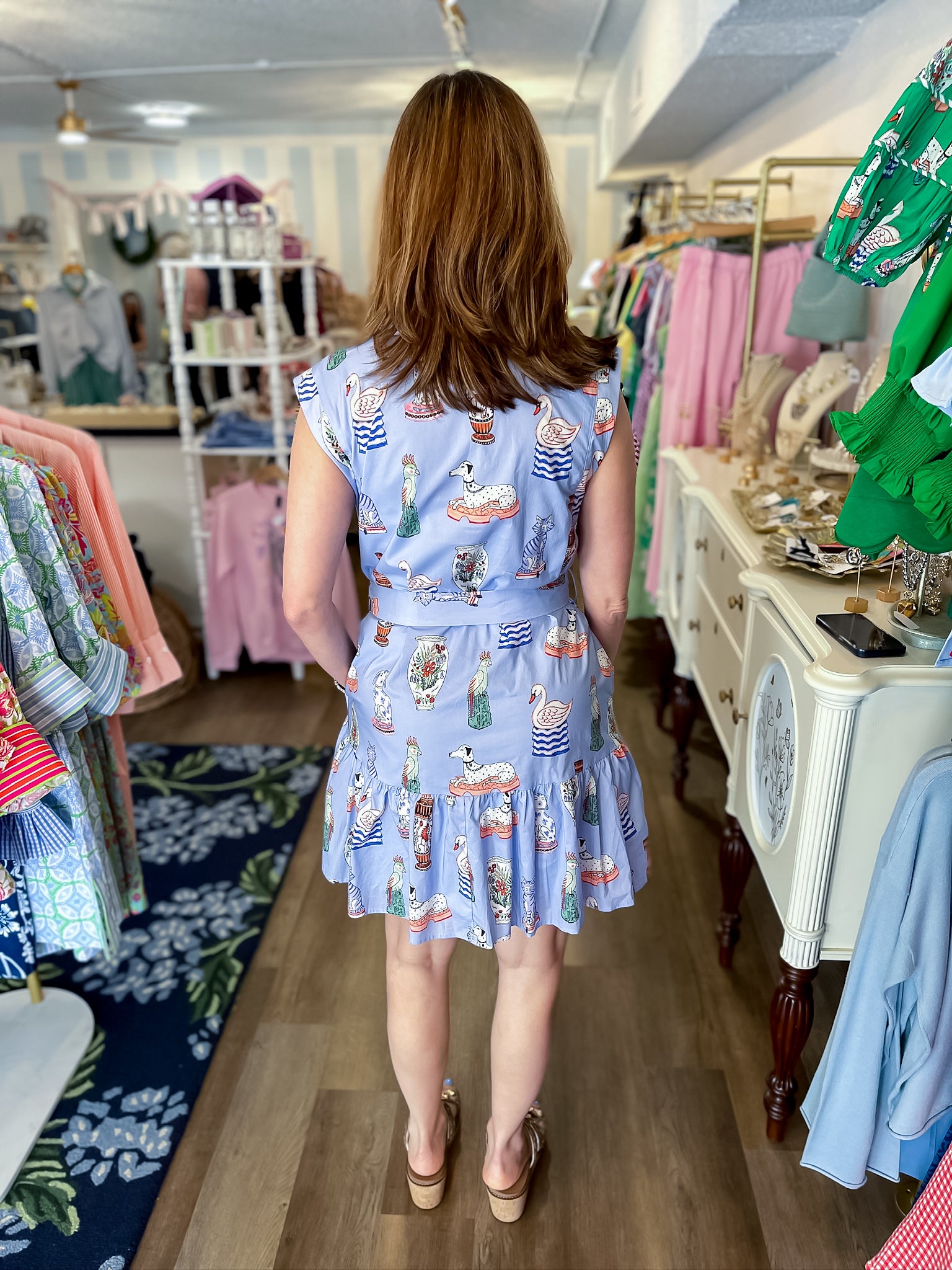 Blue Storybook Mini Dress Entro