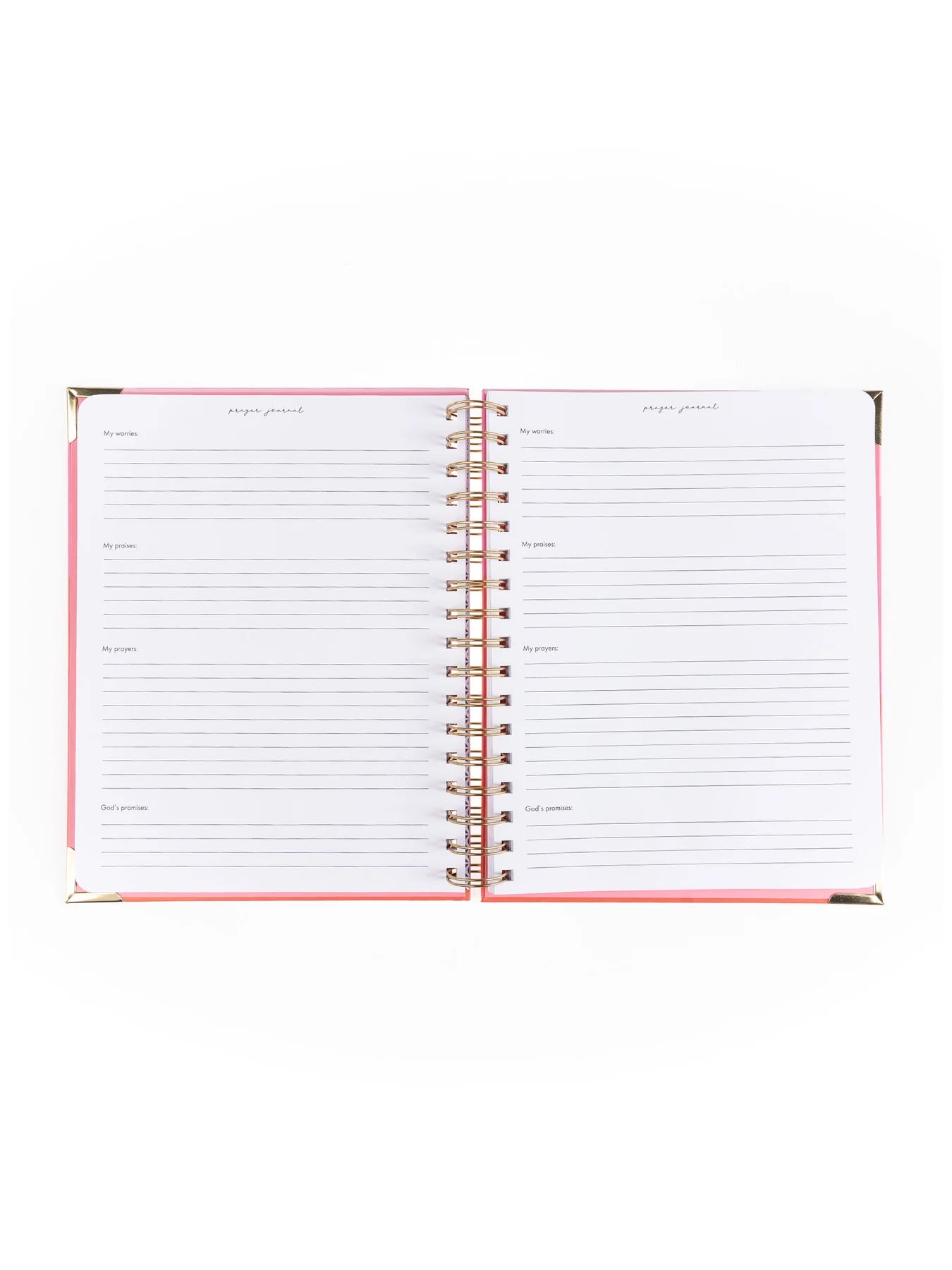 He is Able Prayer Journal Mary Square