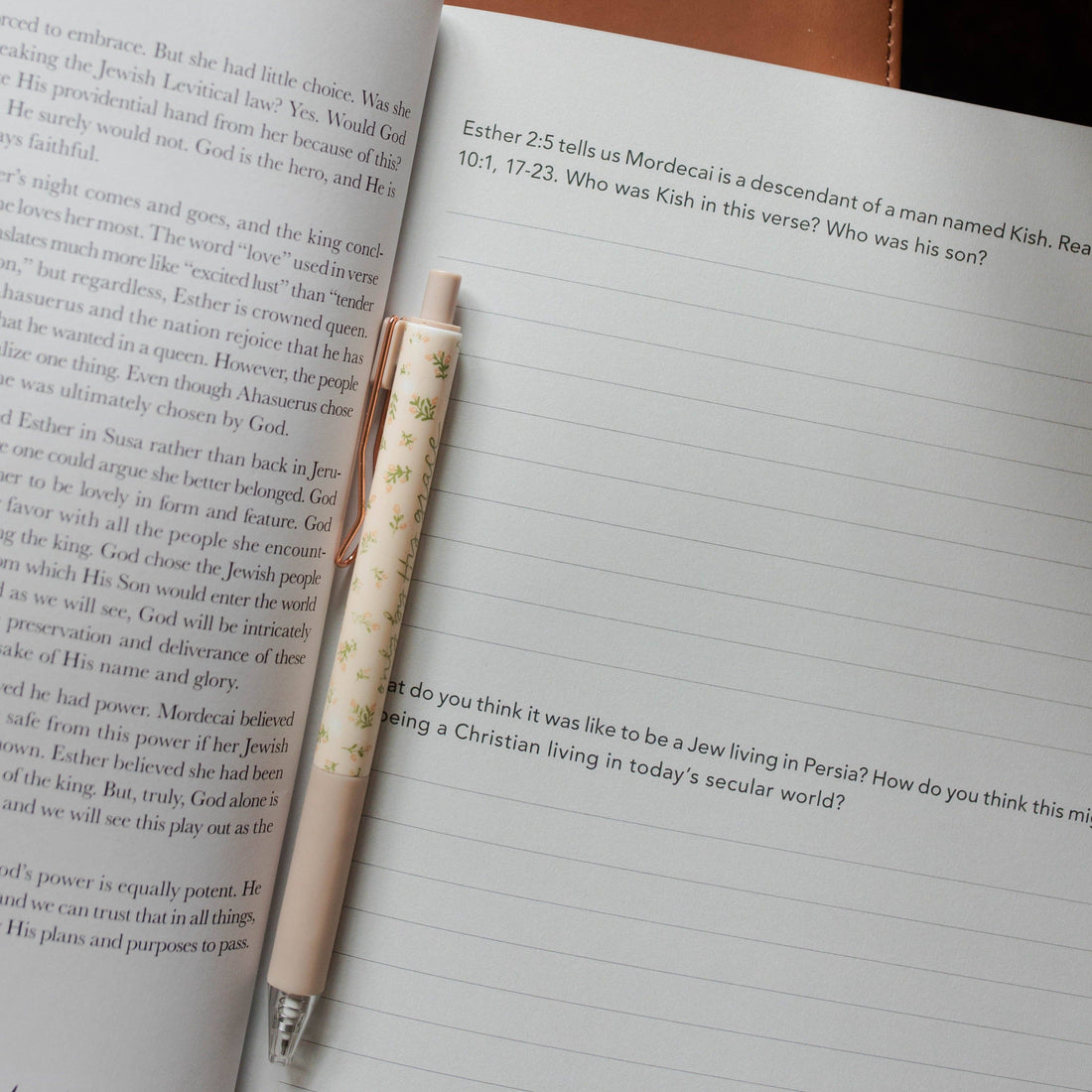 Esther | Seeing God When He Is Silent The Daily Grace Co