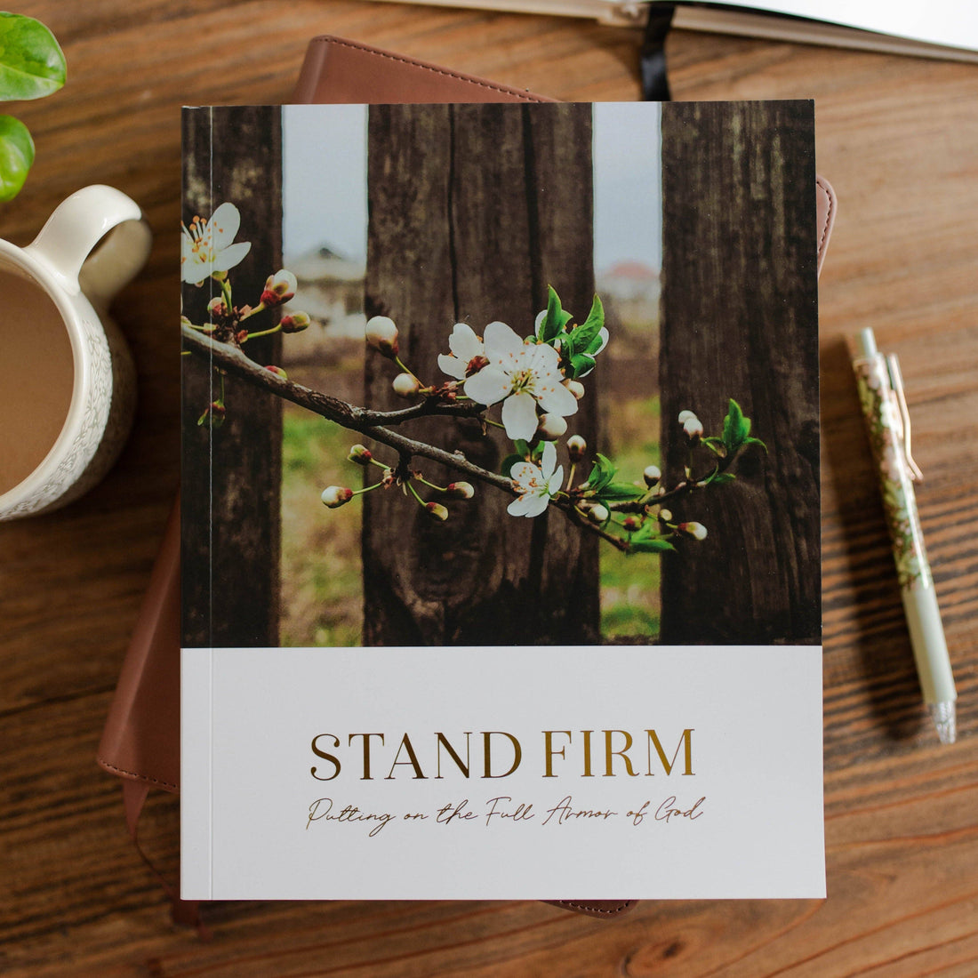 Stand Firm, Armor of God Study