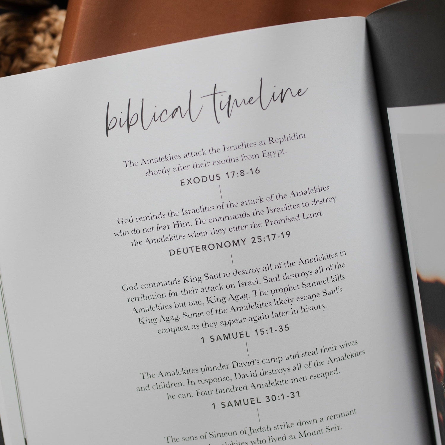 Esther | Seeing God When He Is Silent The Daily Grace Co