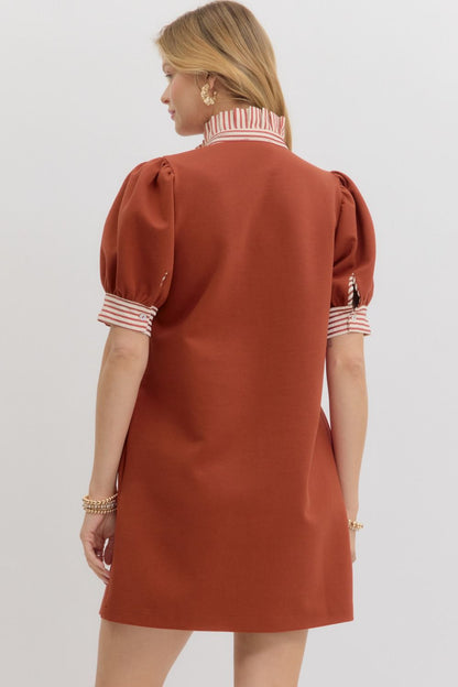 Park Avenue Polo Dress
