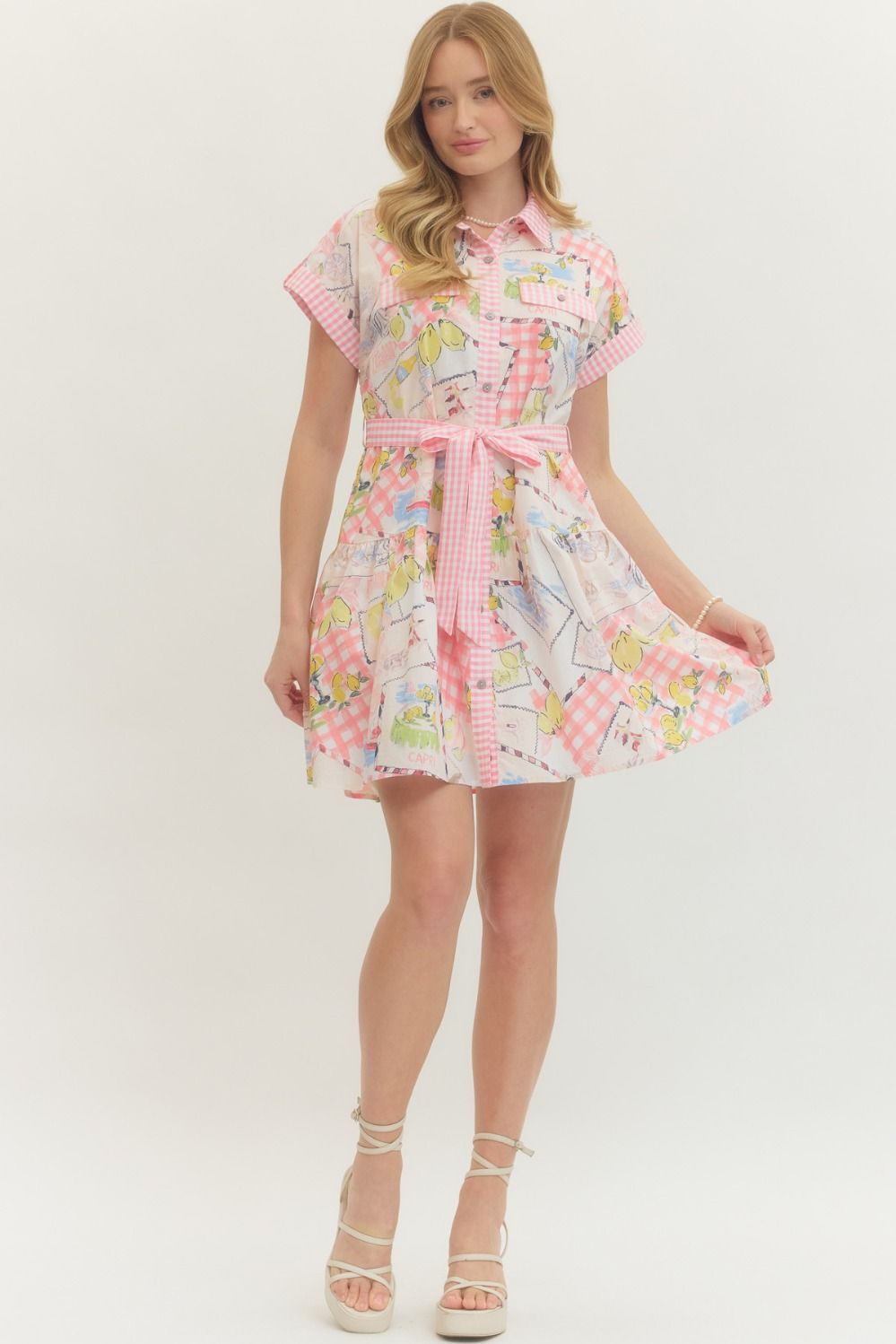Sweet Picnic Dress Entro